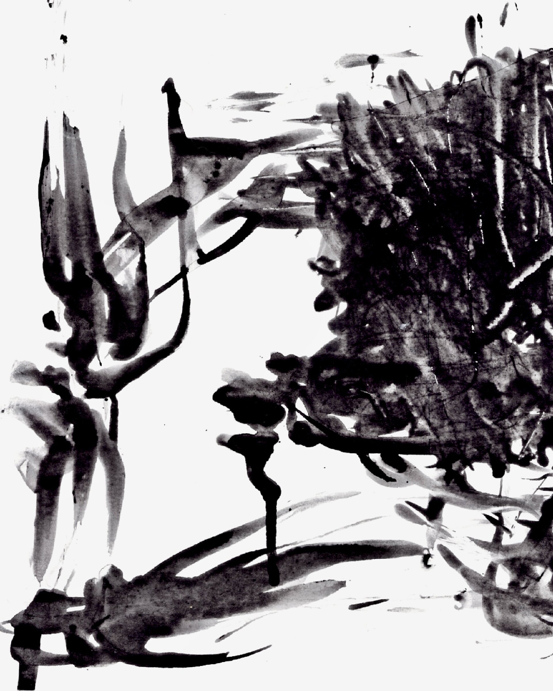 Expansión 07 - 2